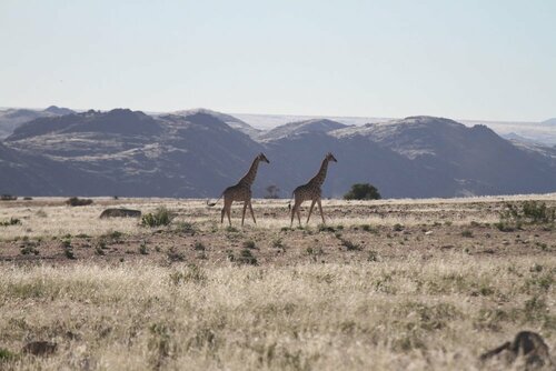 Гостиница Sandfontein Lodge & x26; Nature Reserve - All-Inclusive