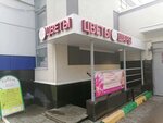 Tsvetochnaya masterskaya Katrin (Volodarskogo Street, 40), flower shop
