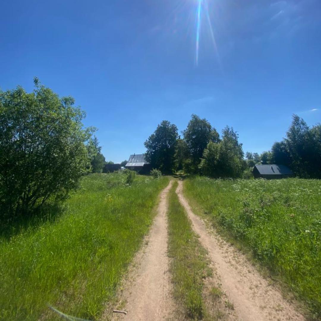 Фото Дом под липой