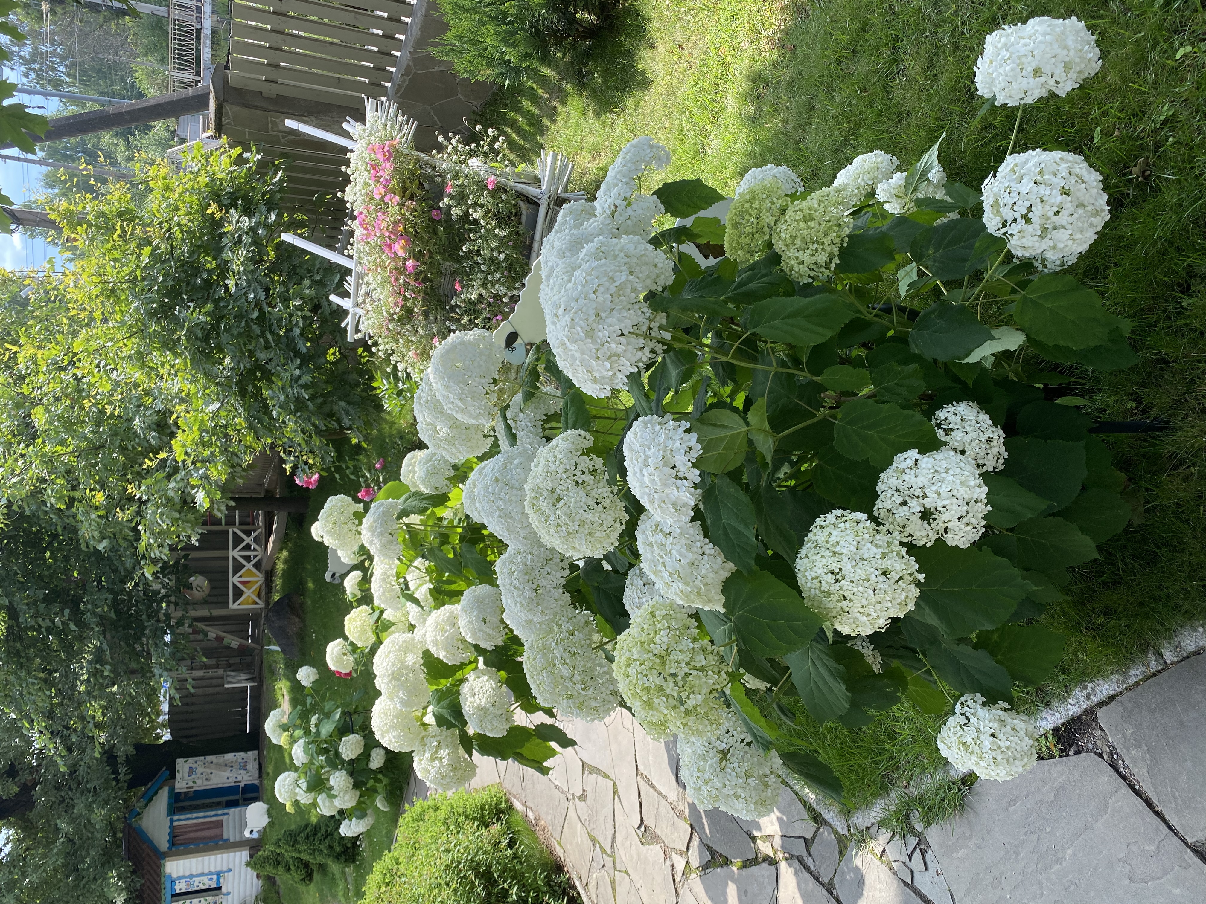 Фото Ближние Дубки