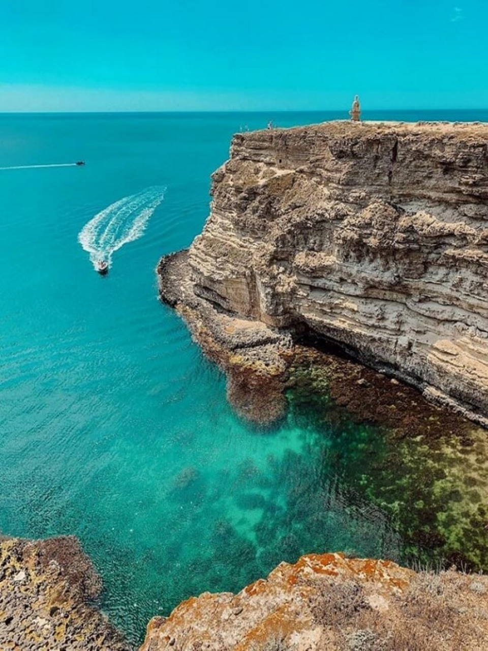 Фото Клевер