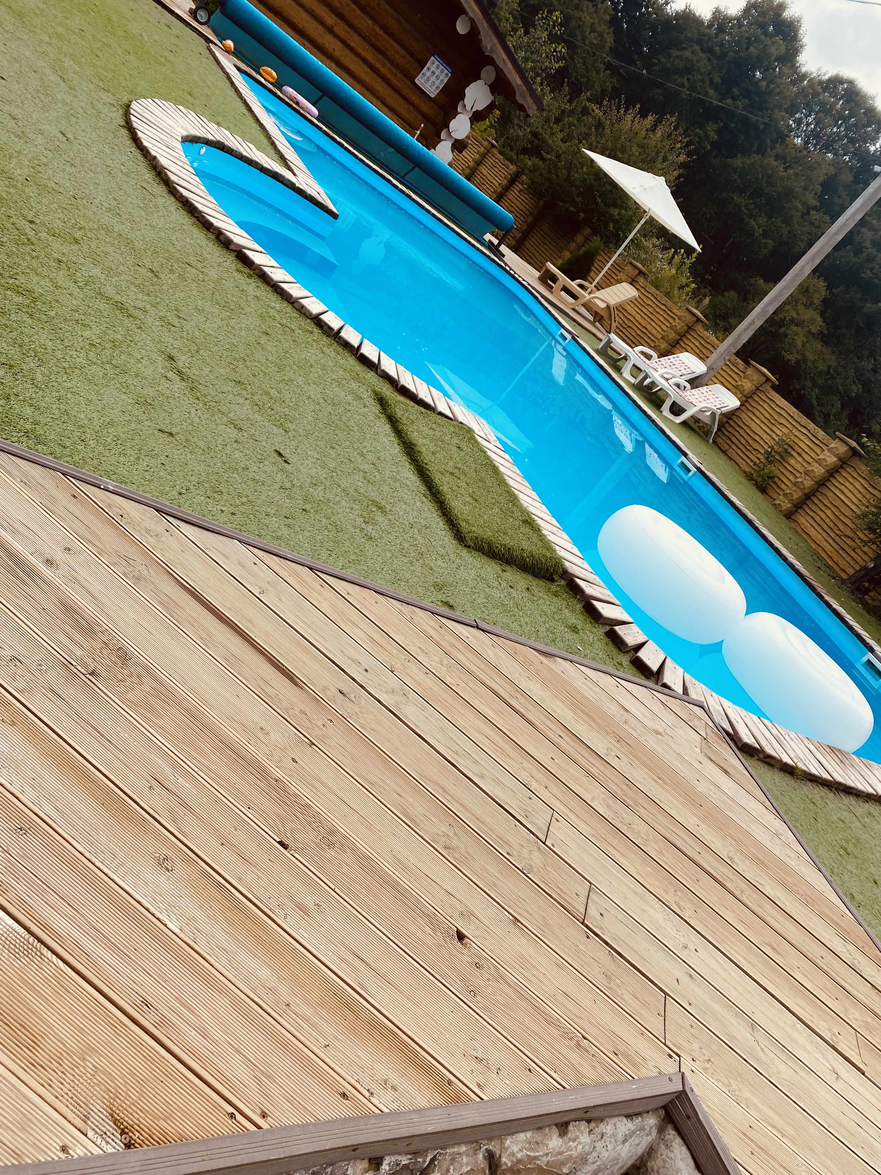 Фото Денница