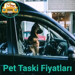 Pet Taksi (Ankara, Etimesgut, Altay Mah., Orhan Bey Cad., 3), taxi