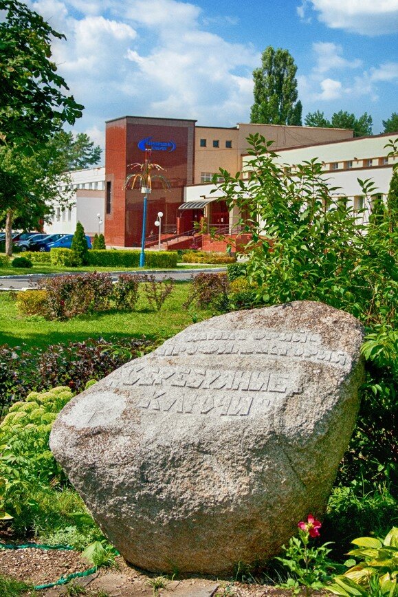 Sanatorium Serebryanyye Klyuchi Sanatory, Gomel District, photo