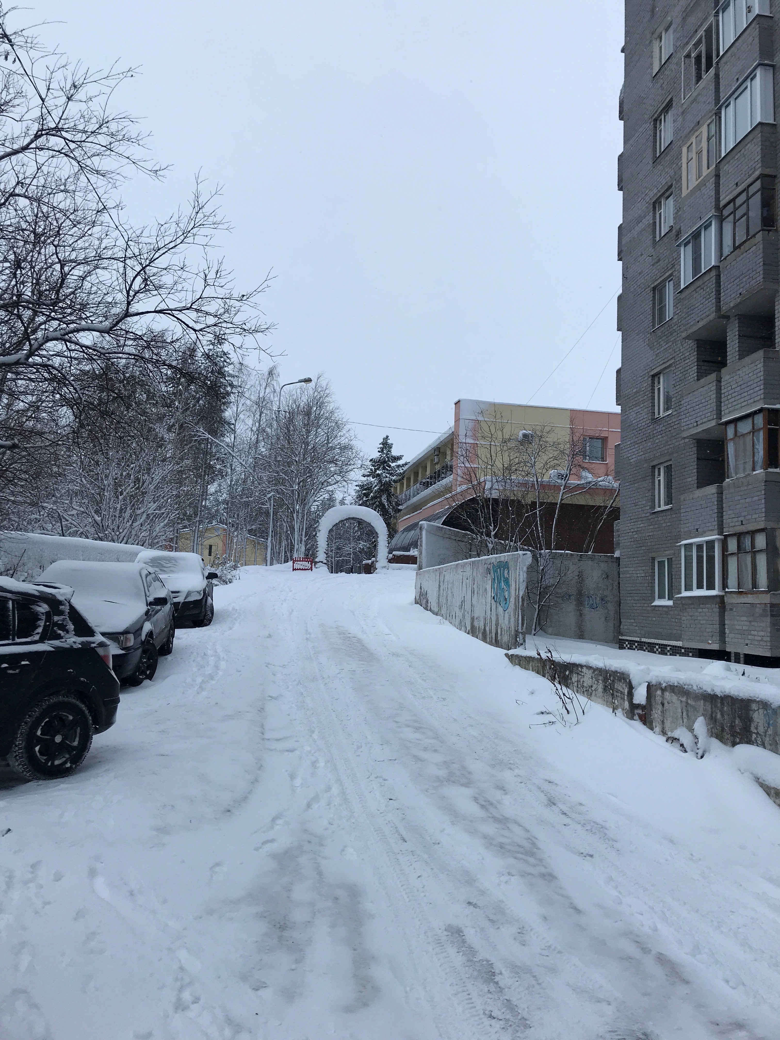 Фото Нивские Берега