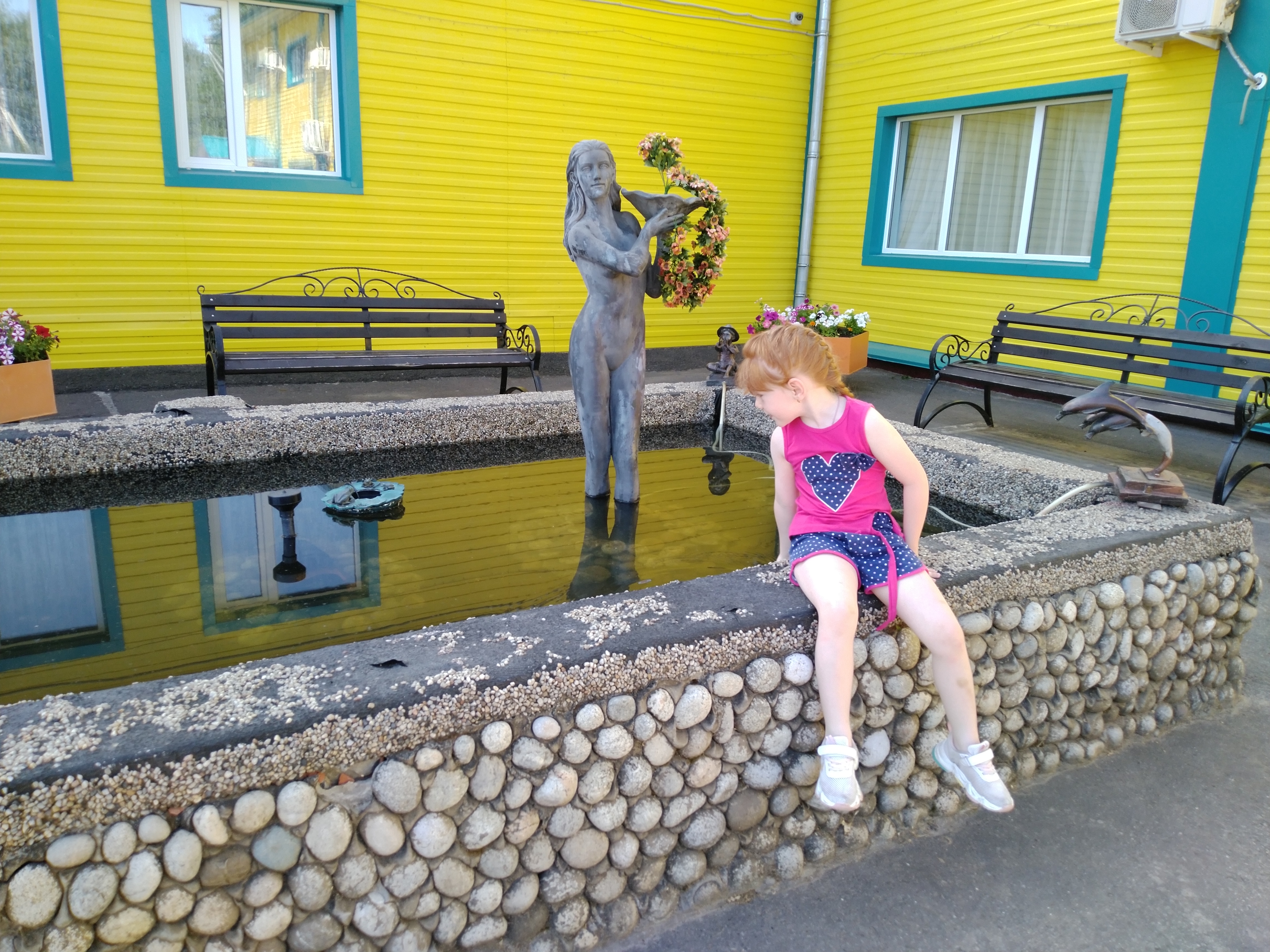 Фото Камелия