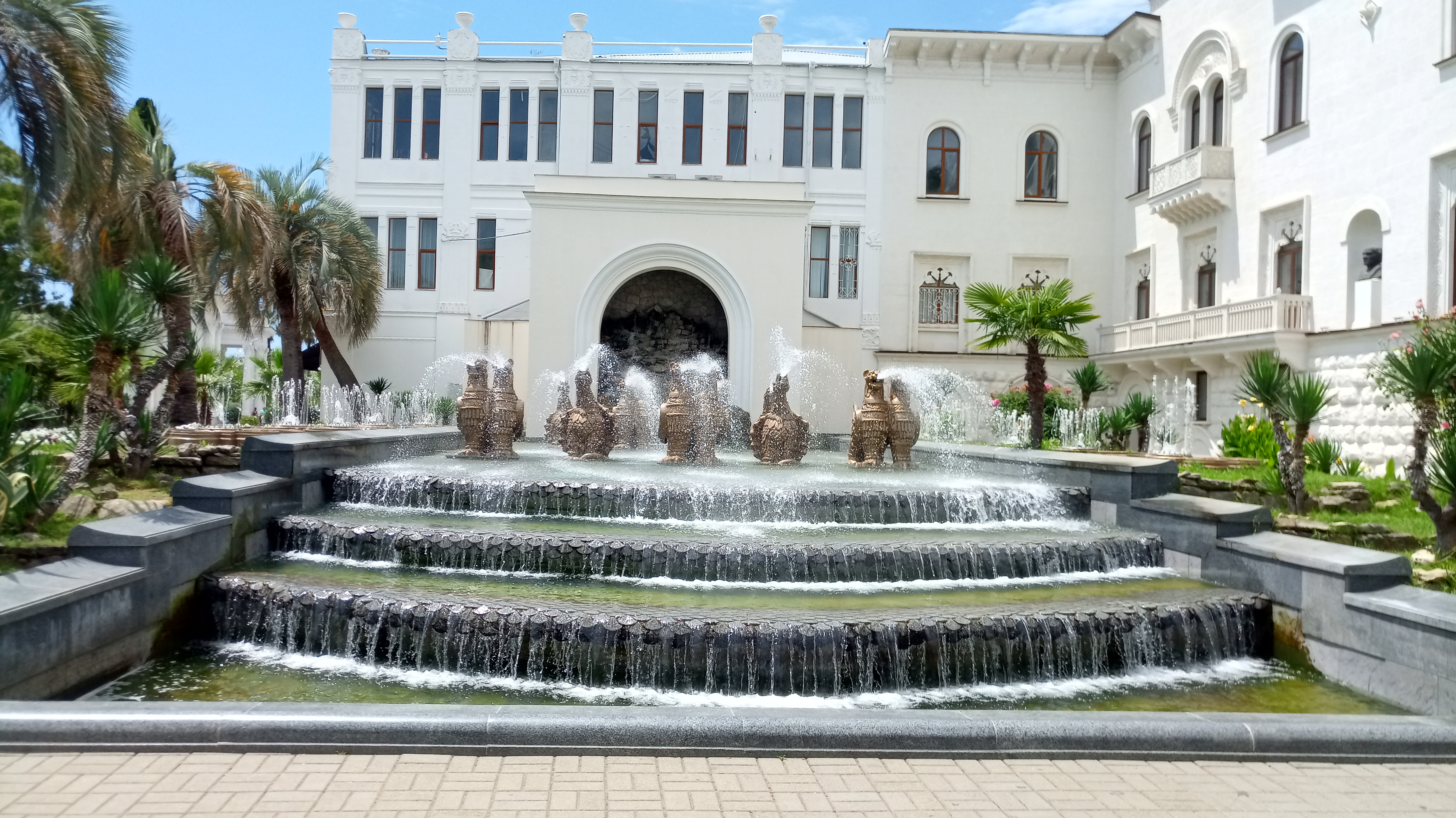 Фото Платан