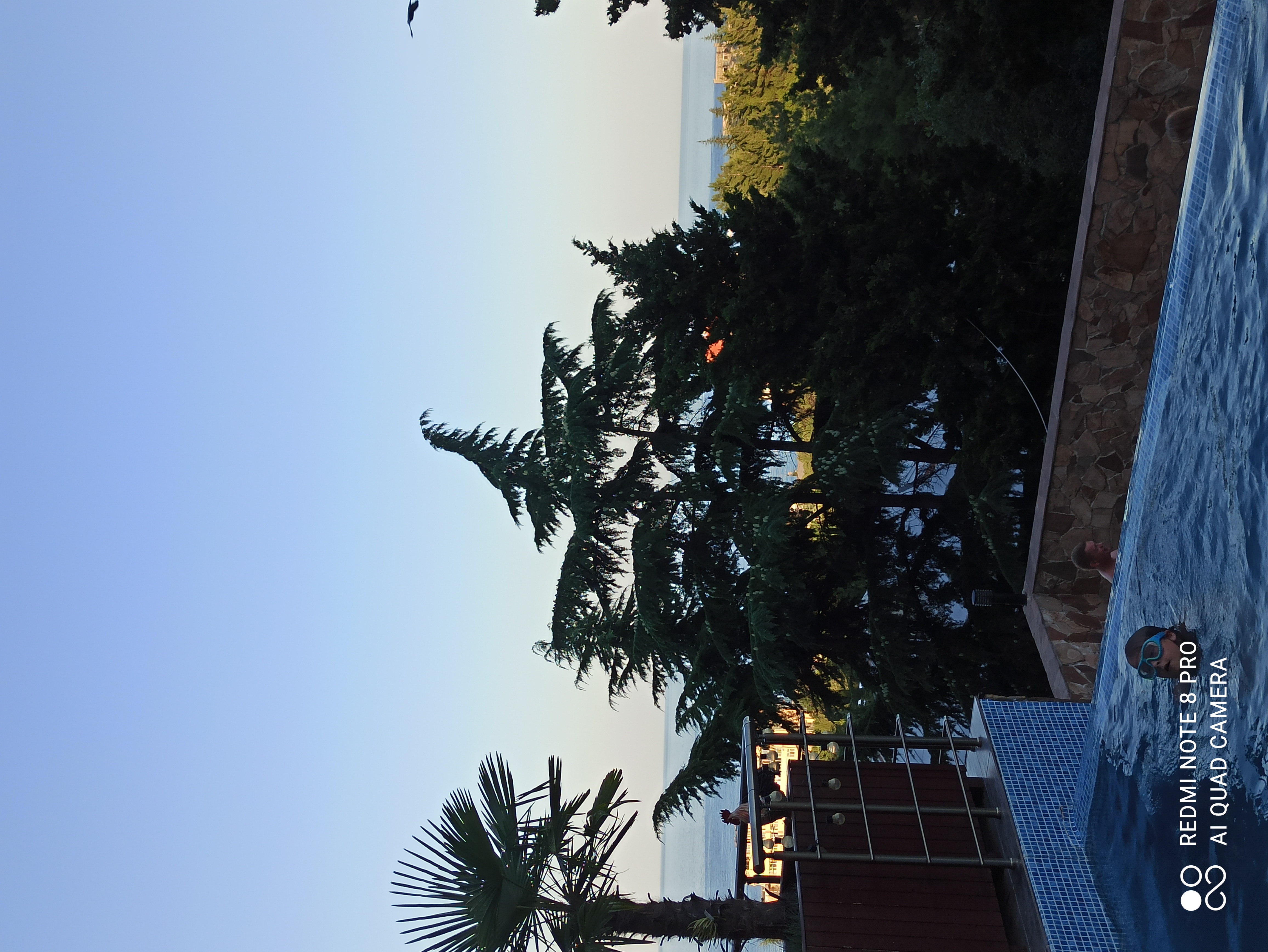 Фото Сезам клуб