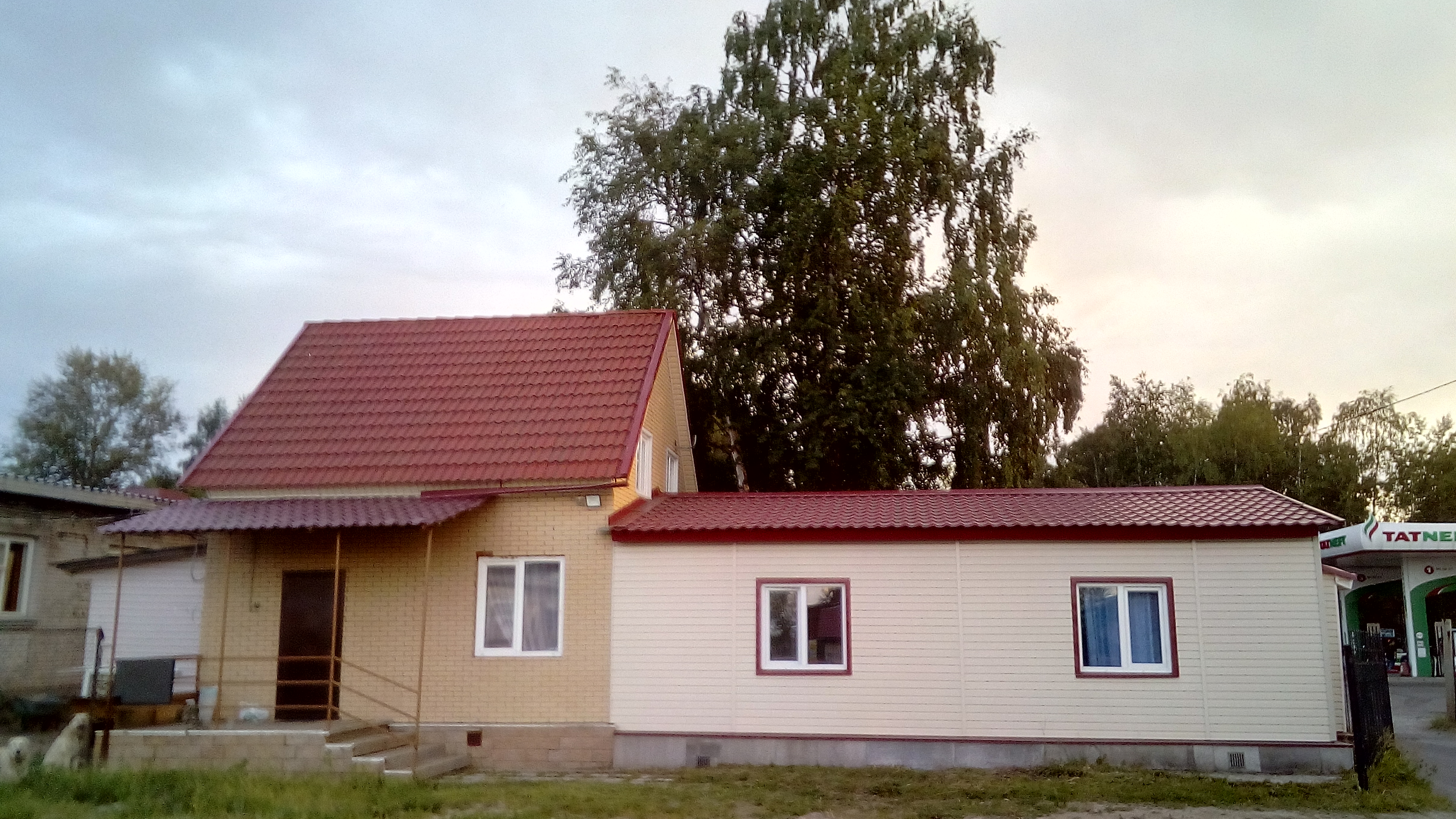 Фото Брусника