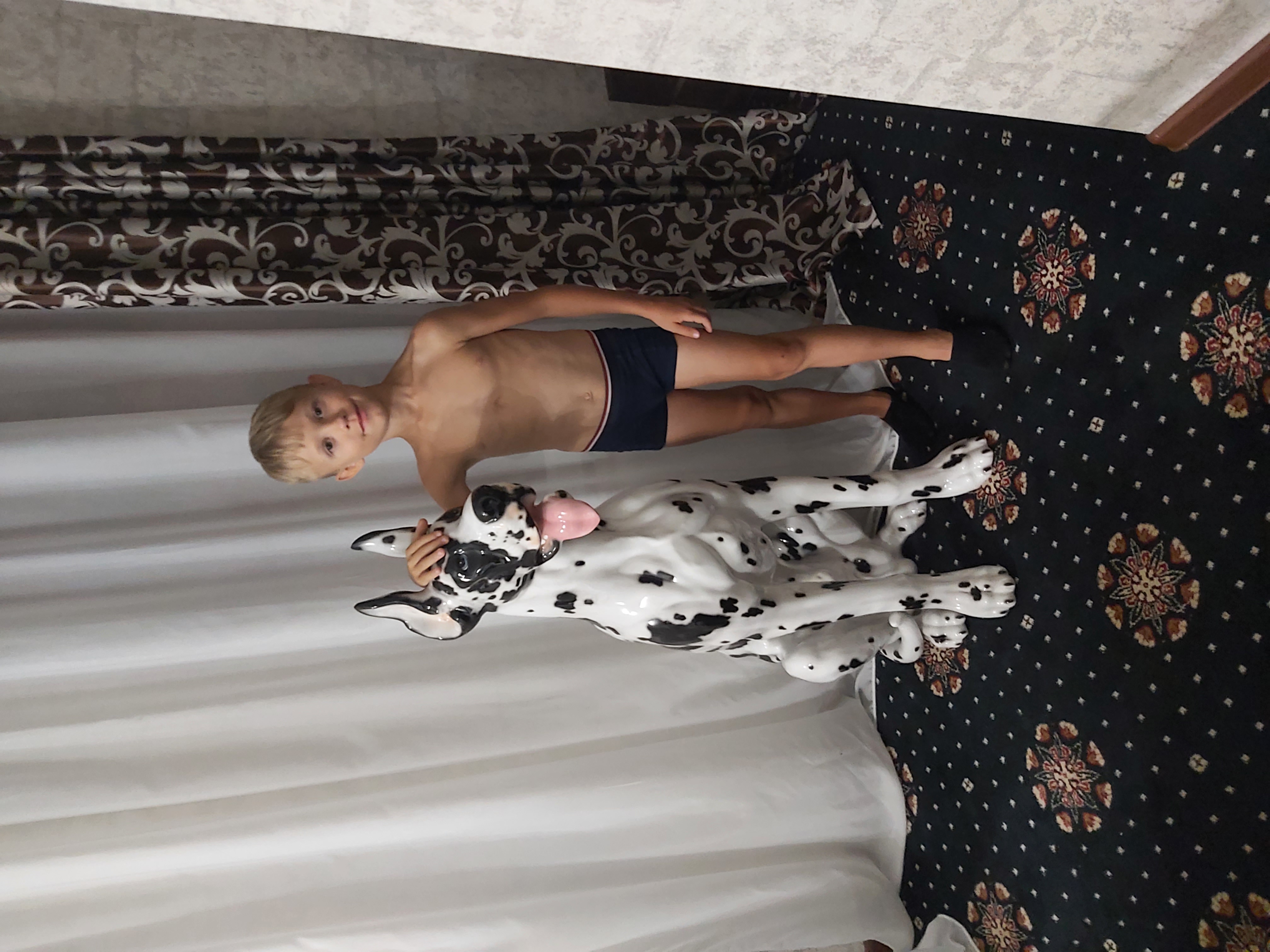 Фото Наутилус