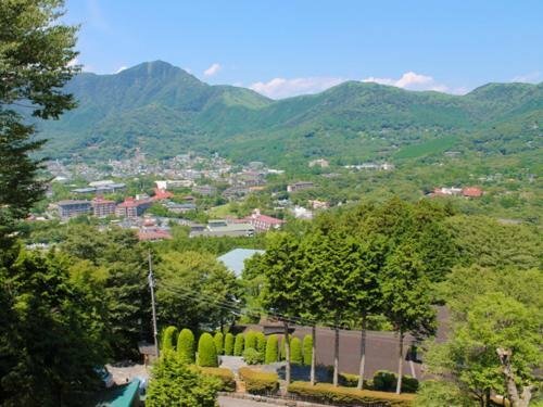 Гостиница Livemax Resort Hakone Sengokuhara