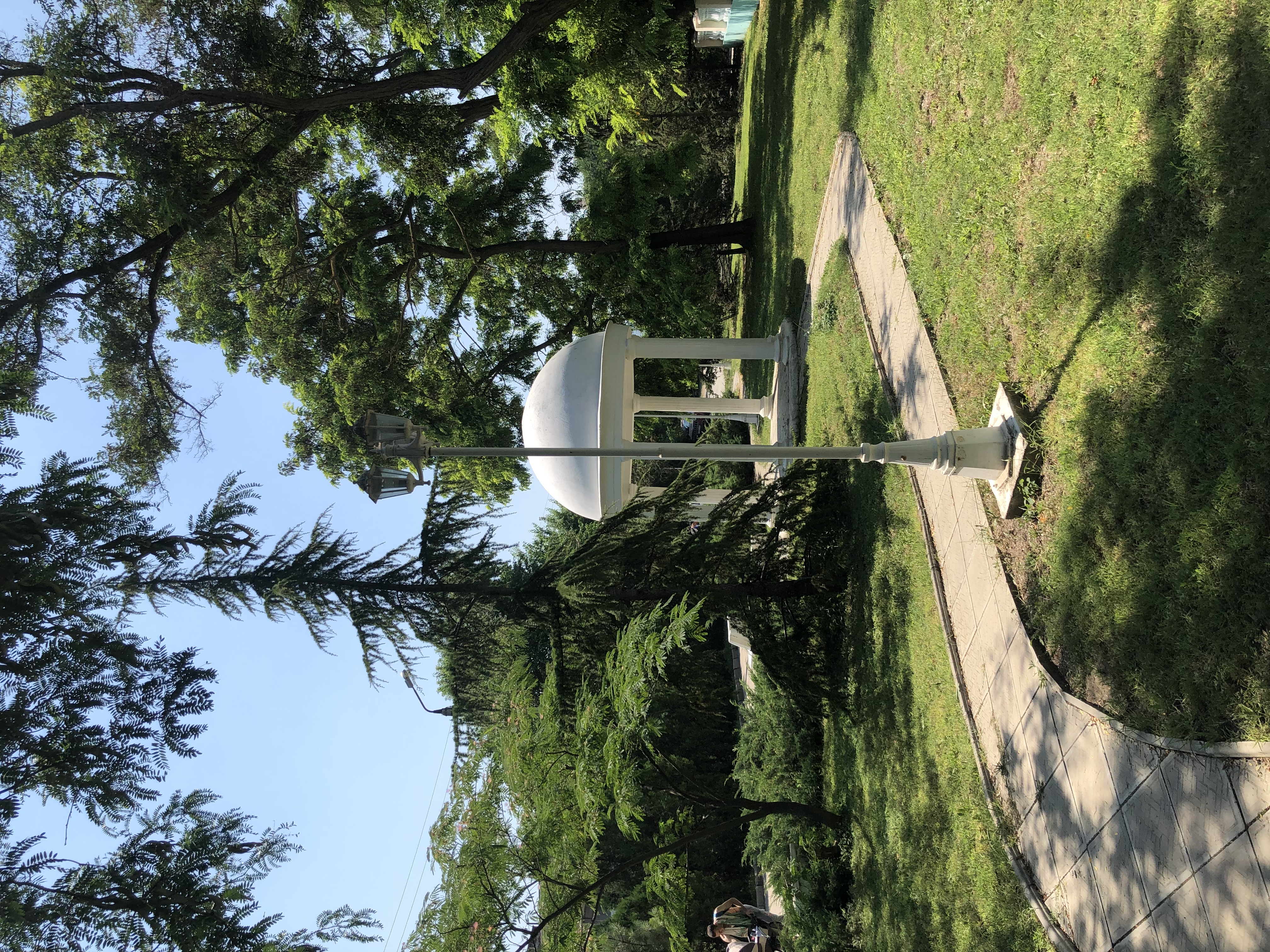 Фото Светлая