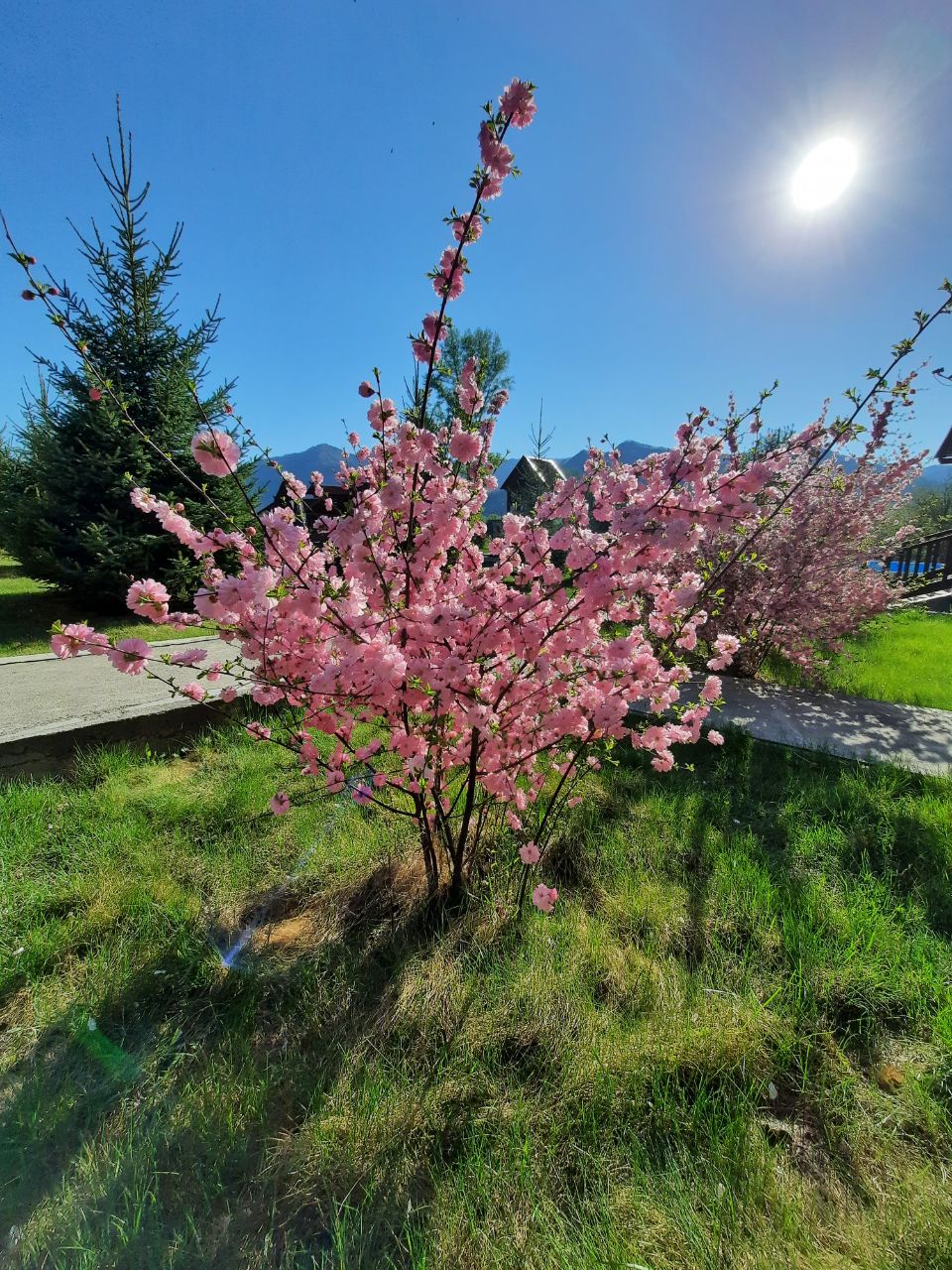 Фото Горный источник