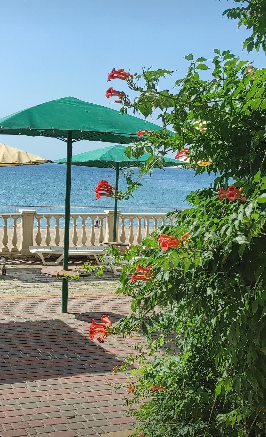 Фото Вилла Нимфей