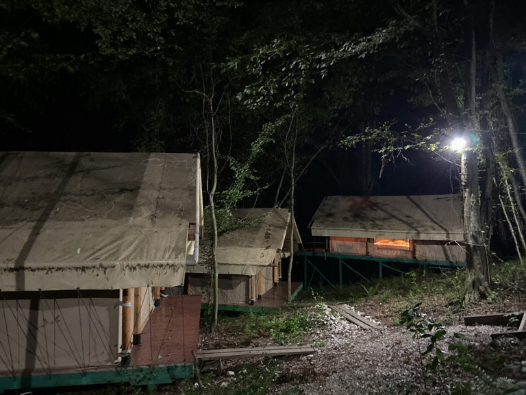 Фото Оранжереи