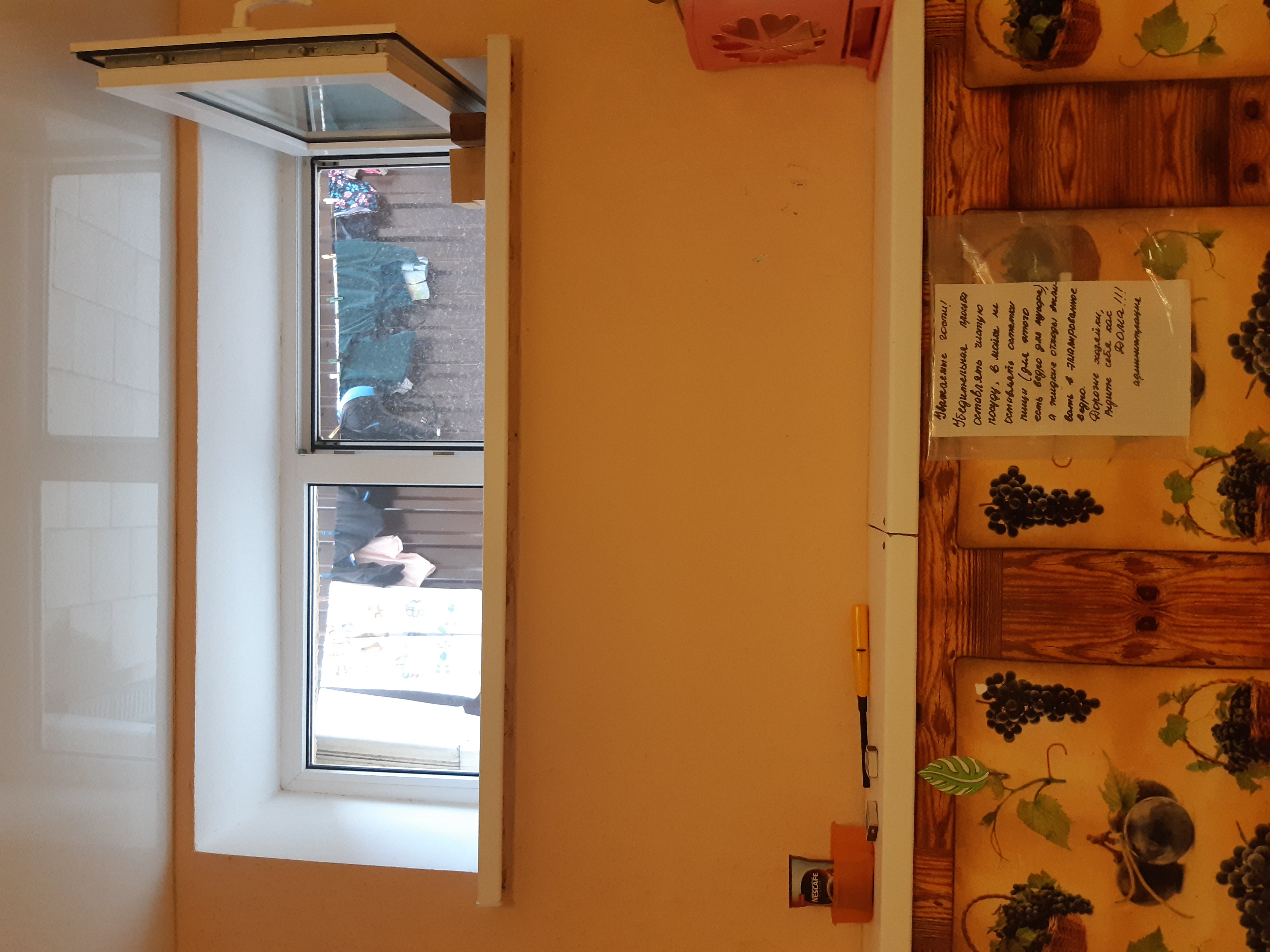 Фото Кипарис