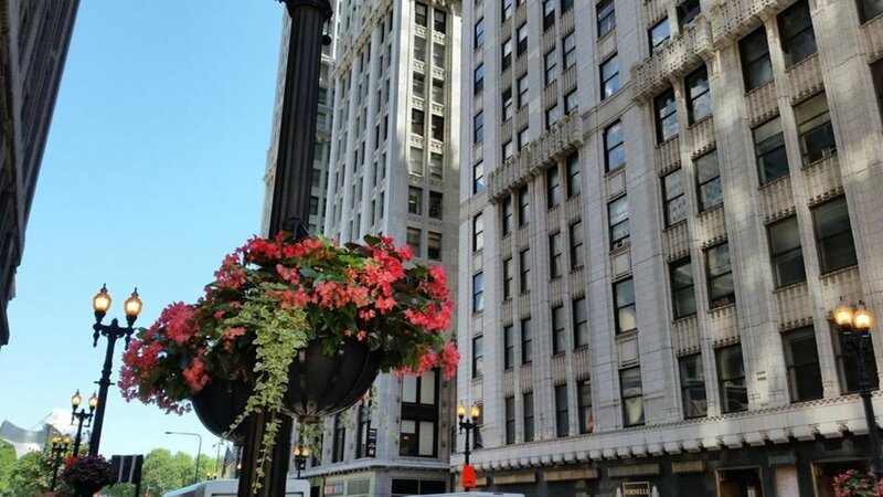 Гостиница The Chicago Hotel Collection - Millennium Park в Чикаго