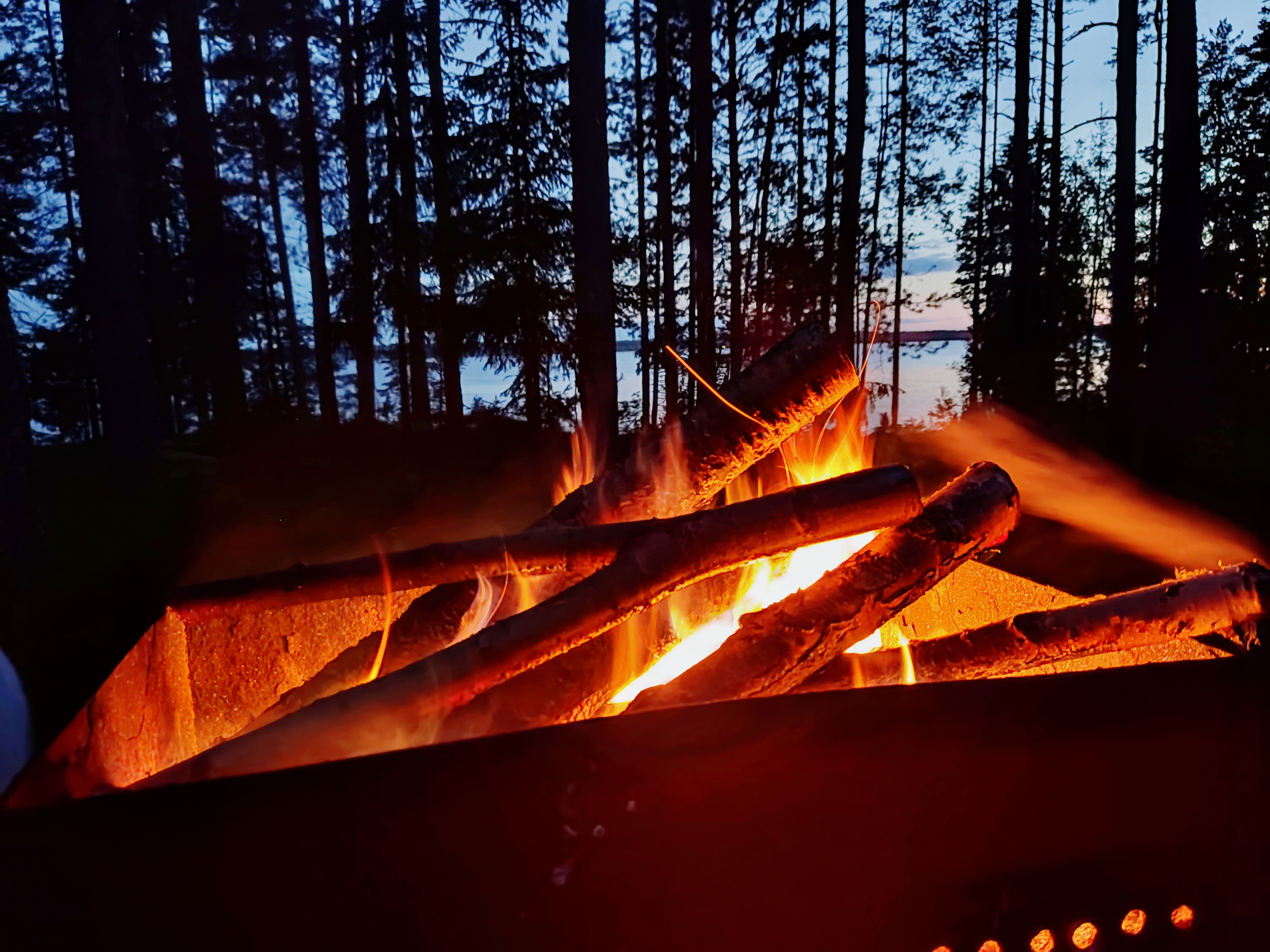 Фото Коттеджи в сосновом бору