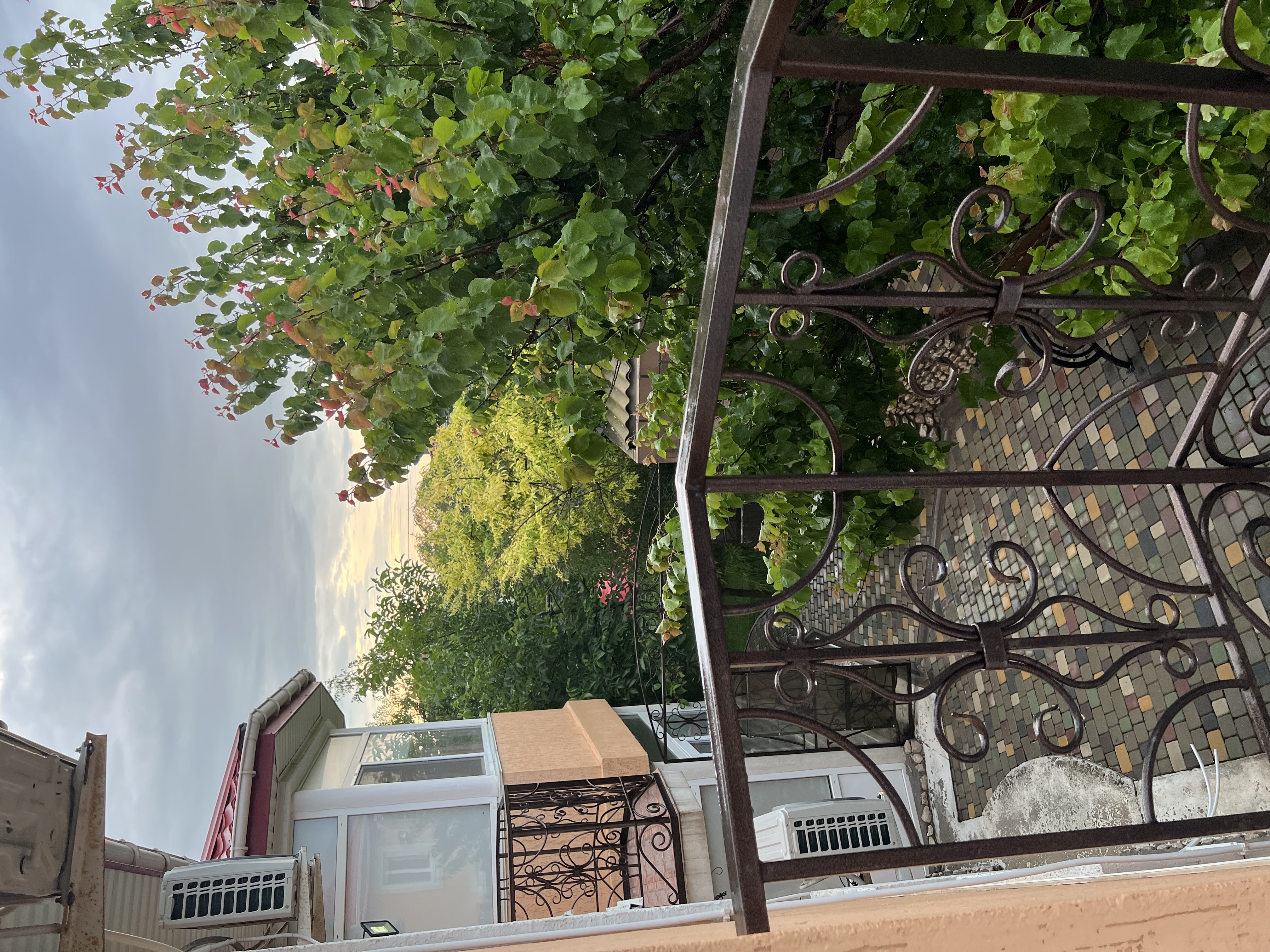 Фото Дельфин