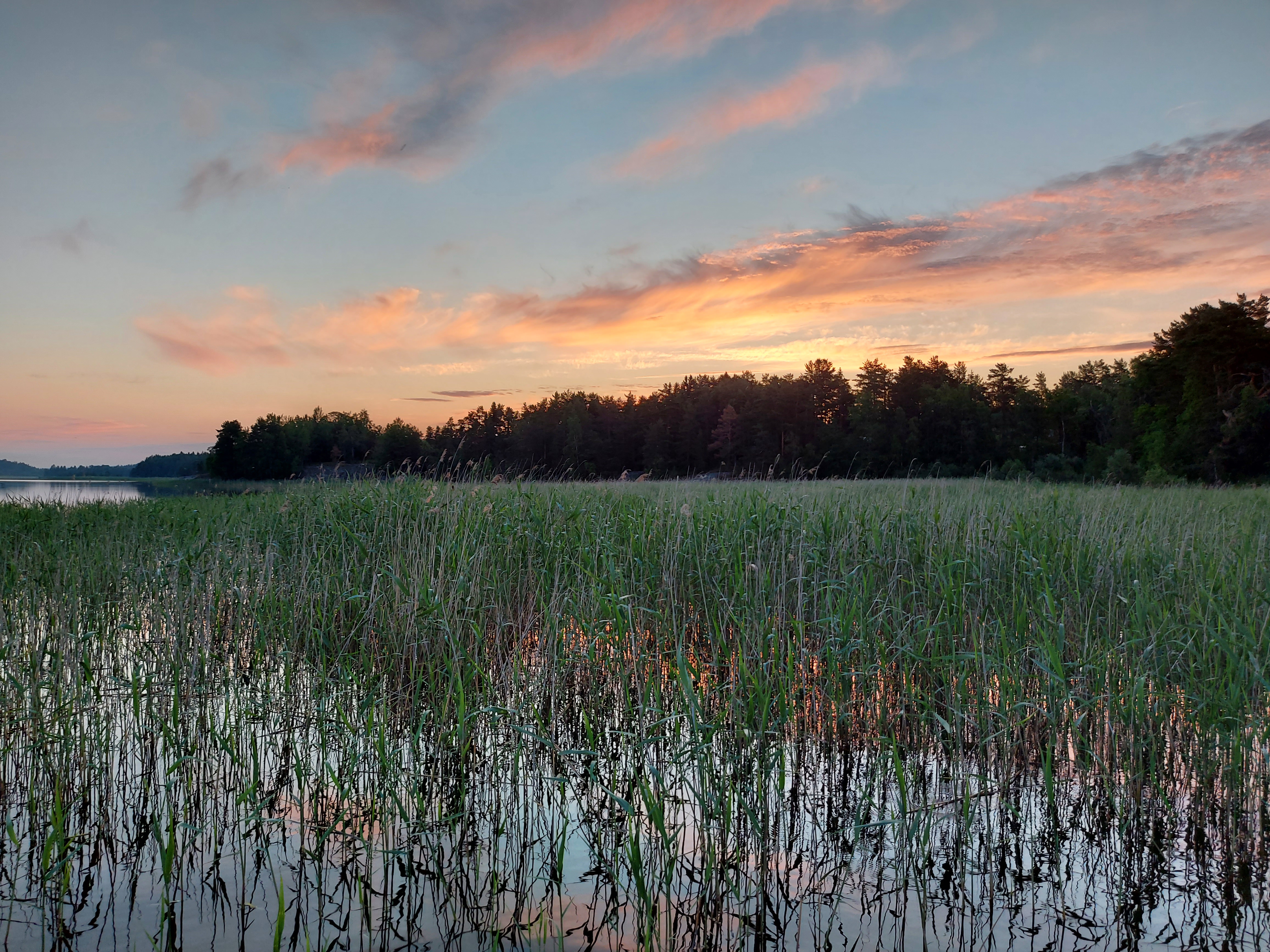 Фото Коттедж Берег у леса