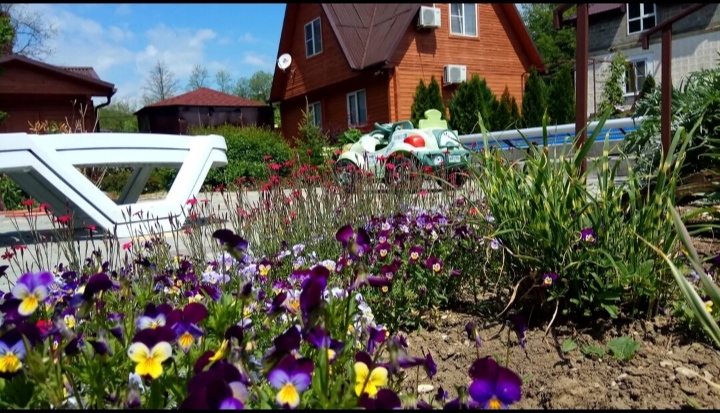 Фото Сказка