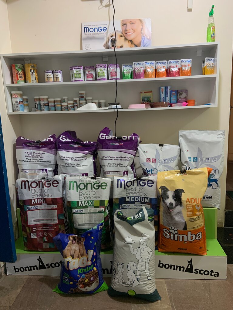 Veterinary clinic Help, Yerevan, photo