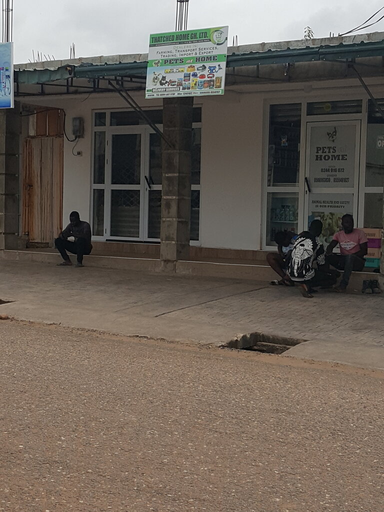 Pet shop Thatched home Ghana Ltd, Earth, photo