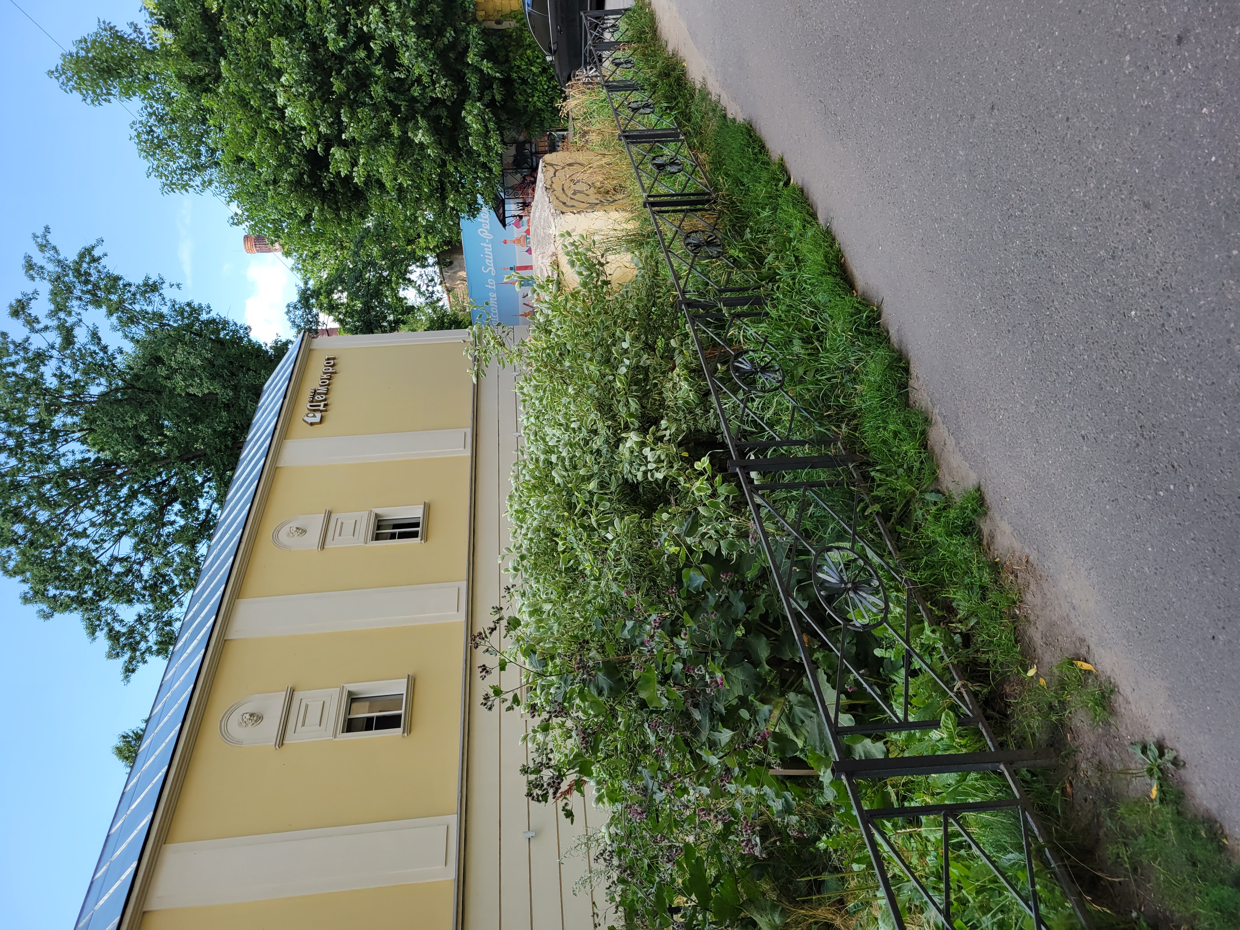 Фото Демократ