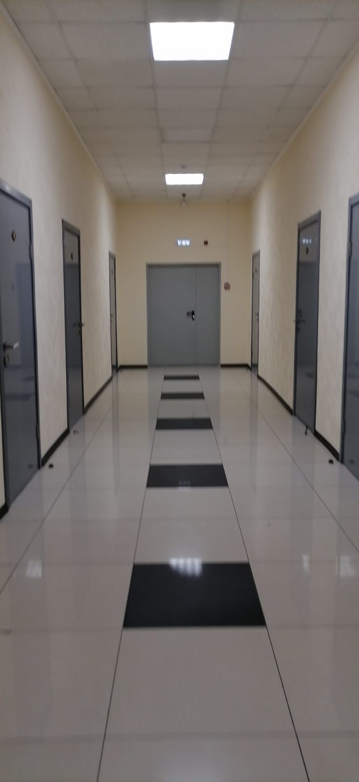 Фото Компас