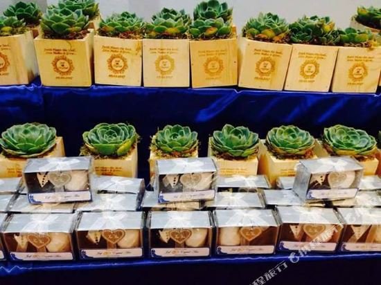 Фото Hotel Carmelita