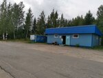 Волна (Leningrad Region, Gatchinskiy District, sadovodcheskiy massiv Kobrino, Tsentralnaya alleya) ، محل بقالة
