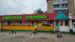 Lukoshko (Trudovaya ulitsa, 41), supermarket