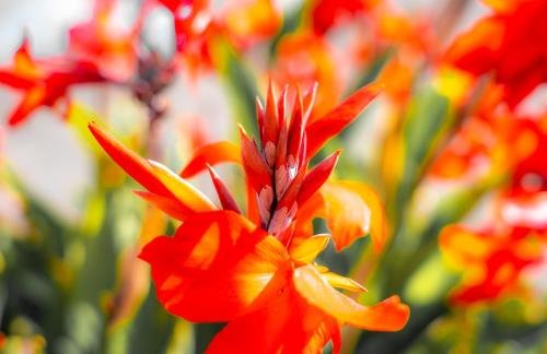 Фото Seaside Inn