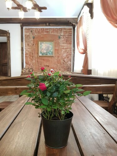 Дом в аренду Дом Ершова в Гороховце