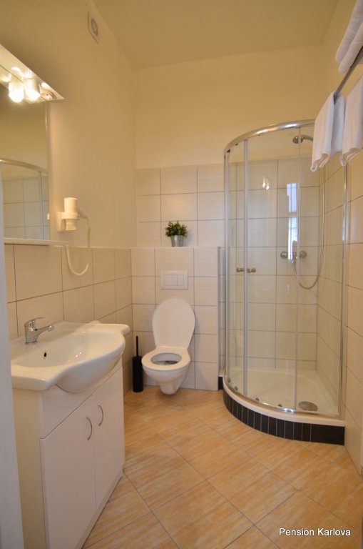 Фото Апартаменты Pension Karlova