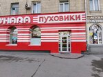 O'Hara (Titova Street, 13), outerwear shop