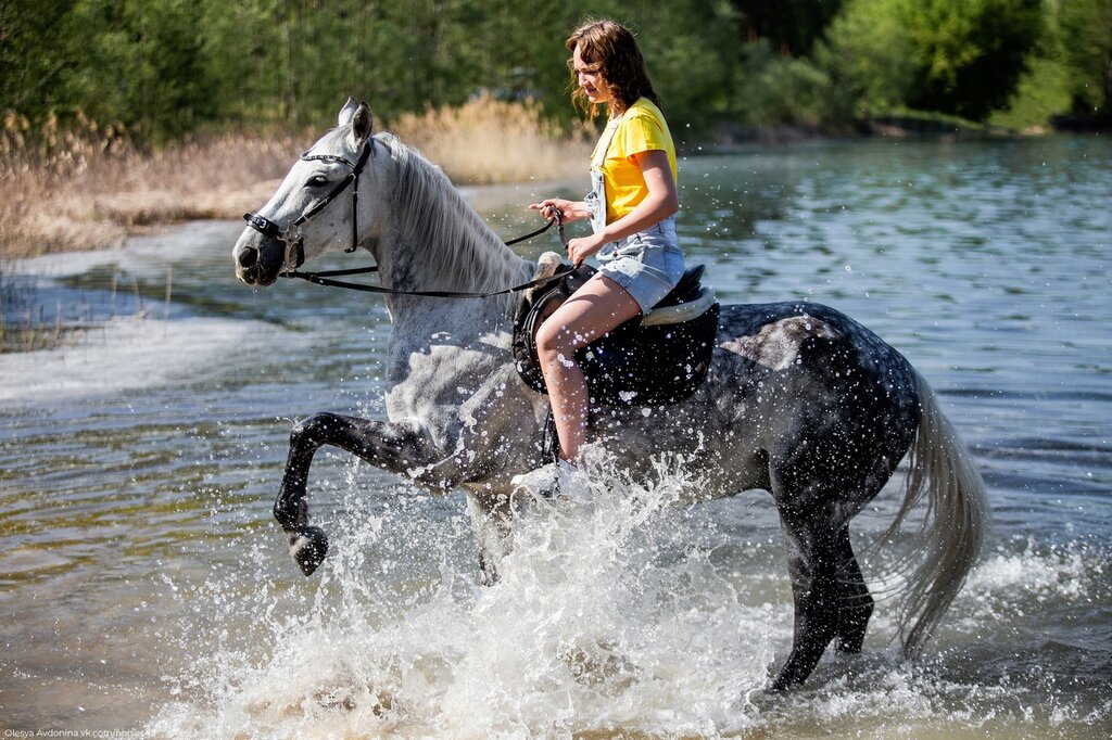 Аттар клубы Конный двор, Липецк, фото