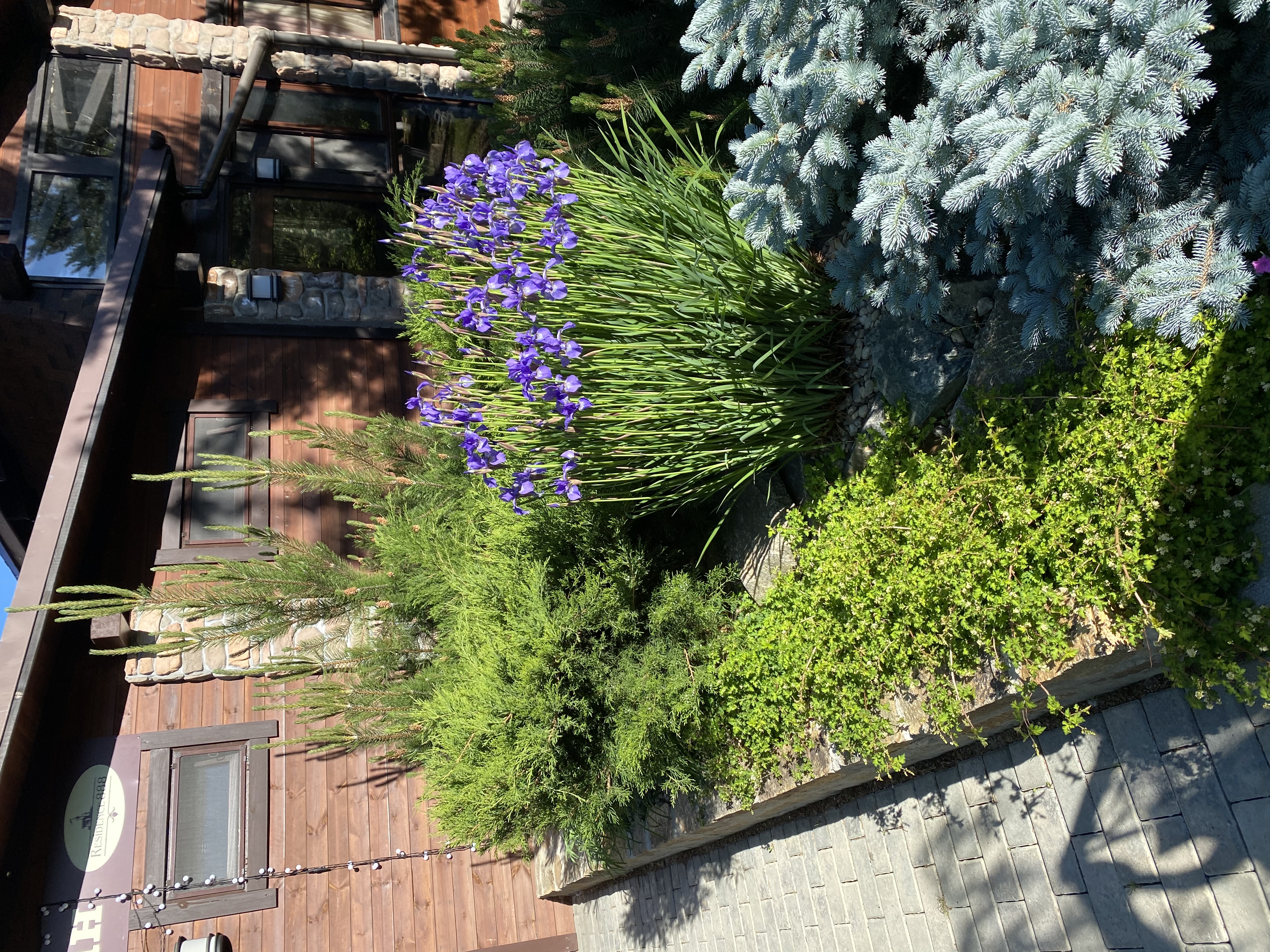 Фото Резиденция 888