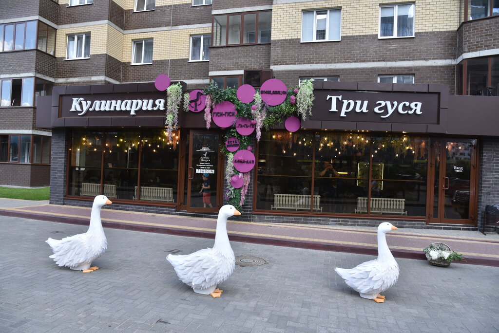 Кафе гусенок