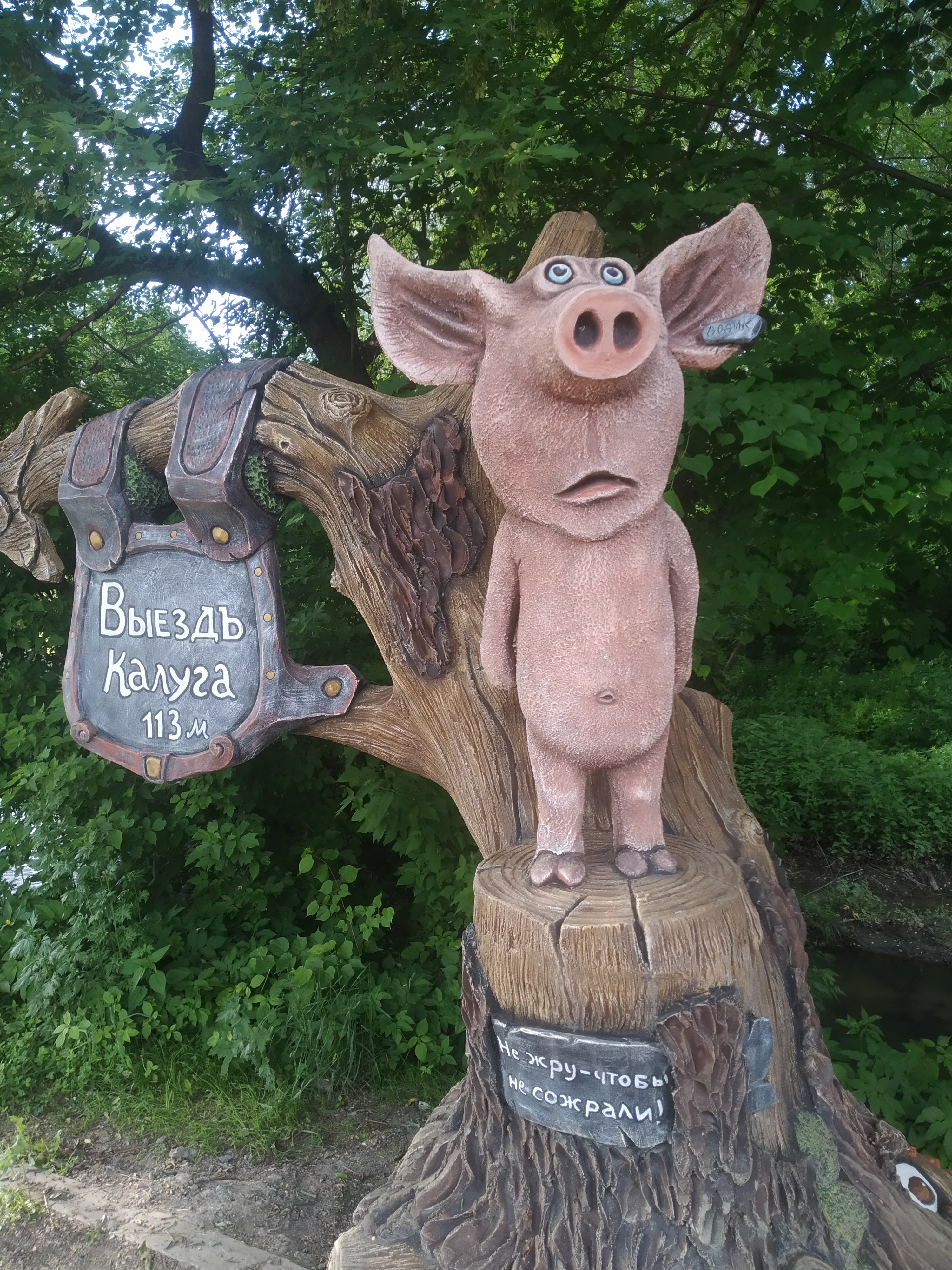 Фото Ковчег