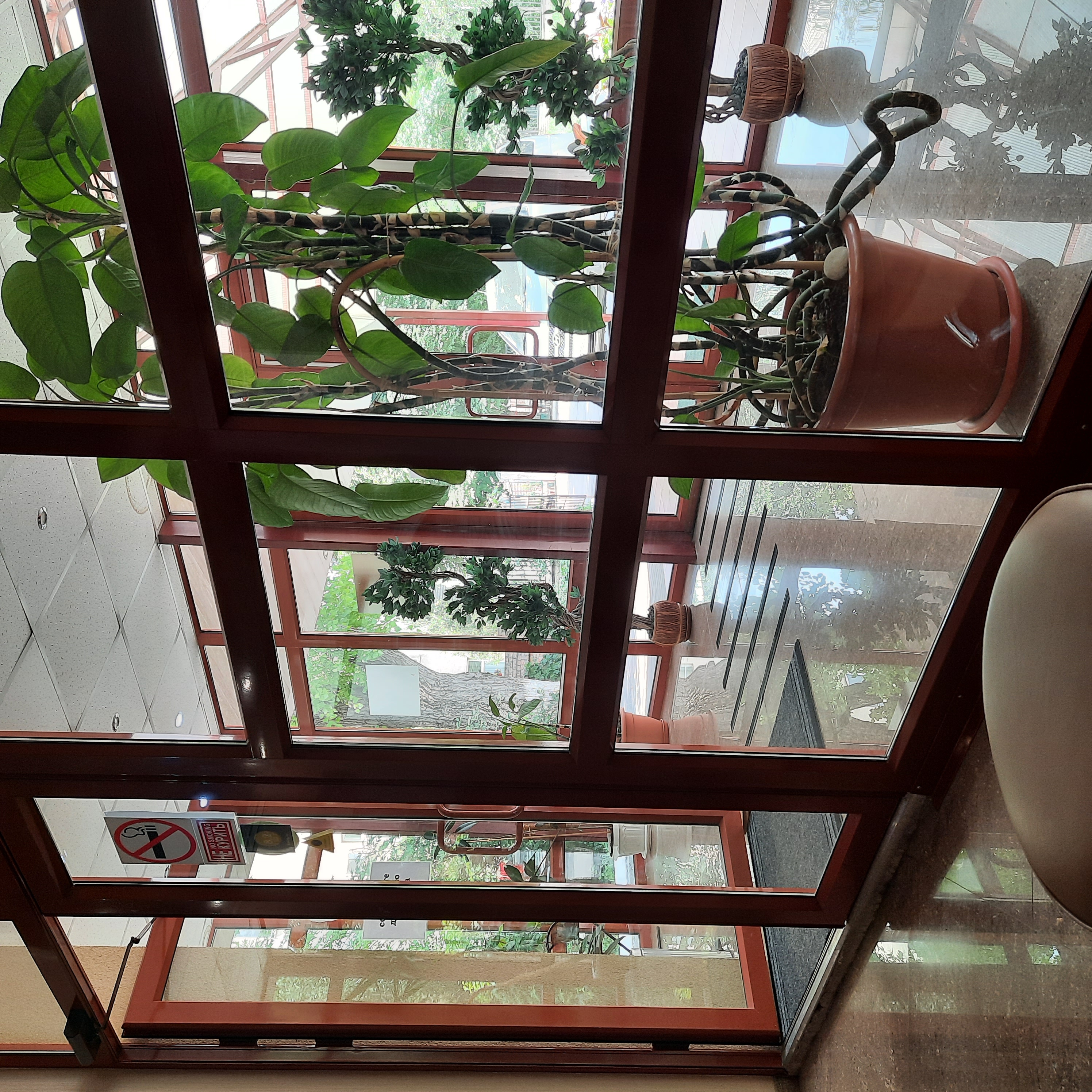 Фото Ассоль