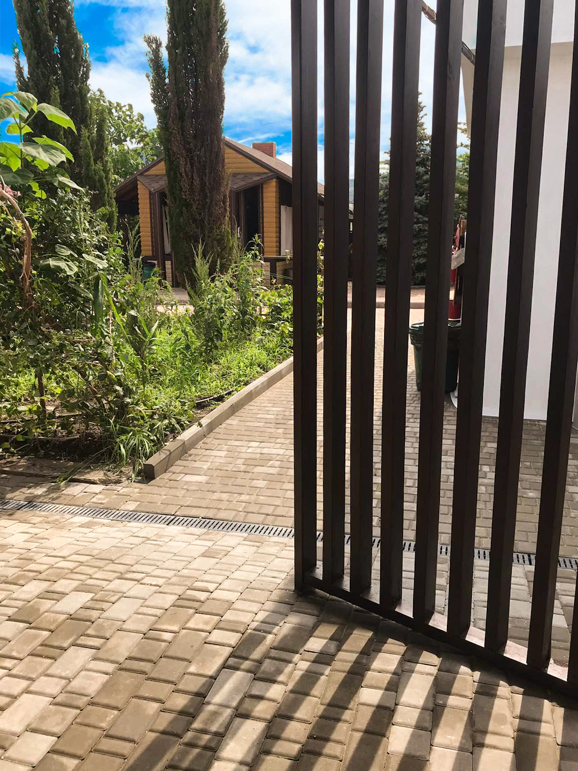 Фото Калипсо