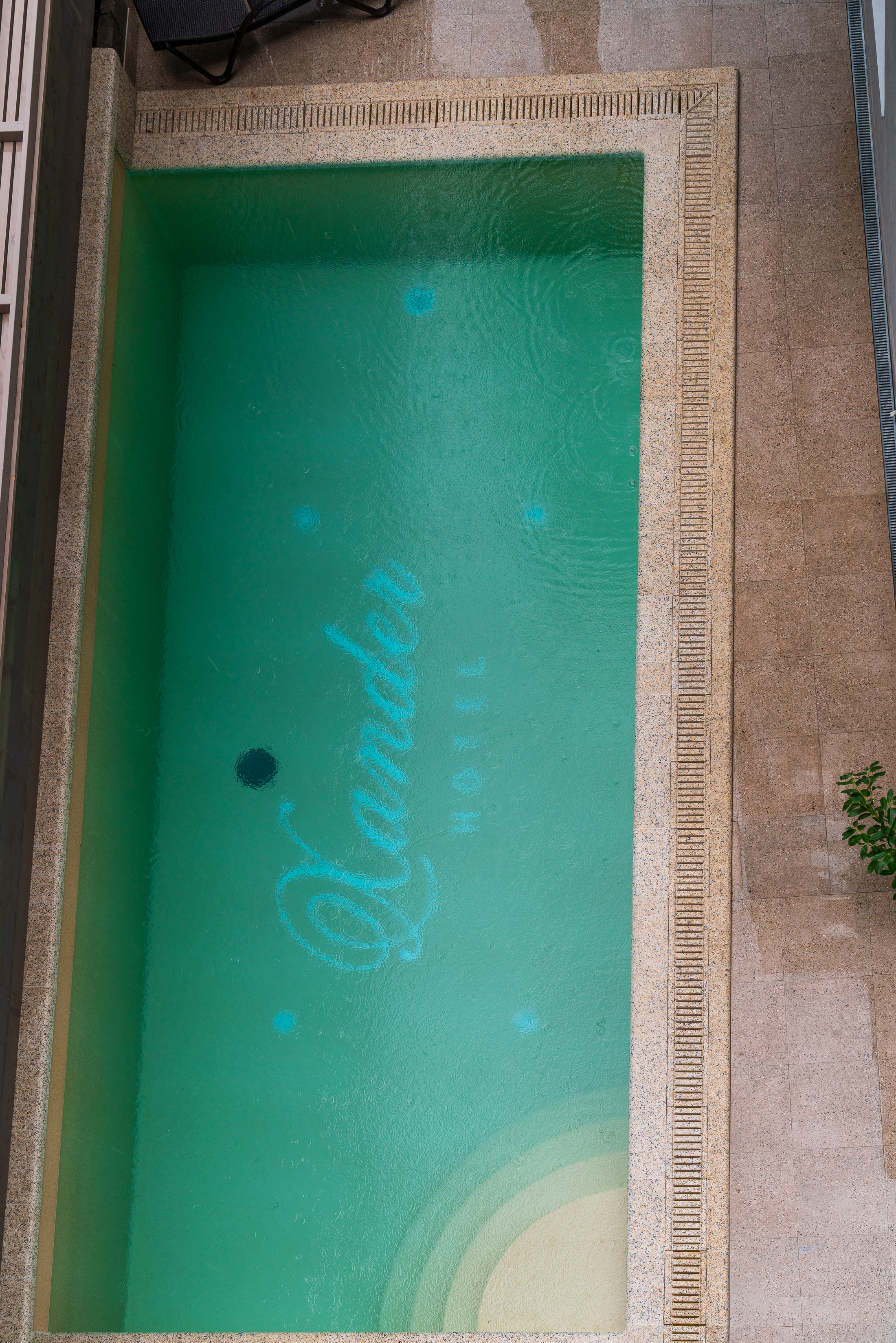 Фото Ксандер