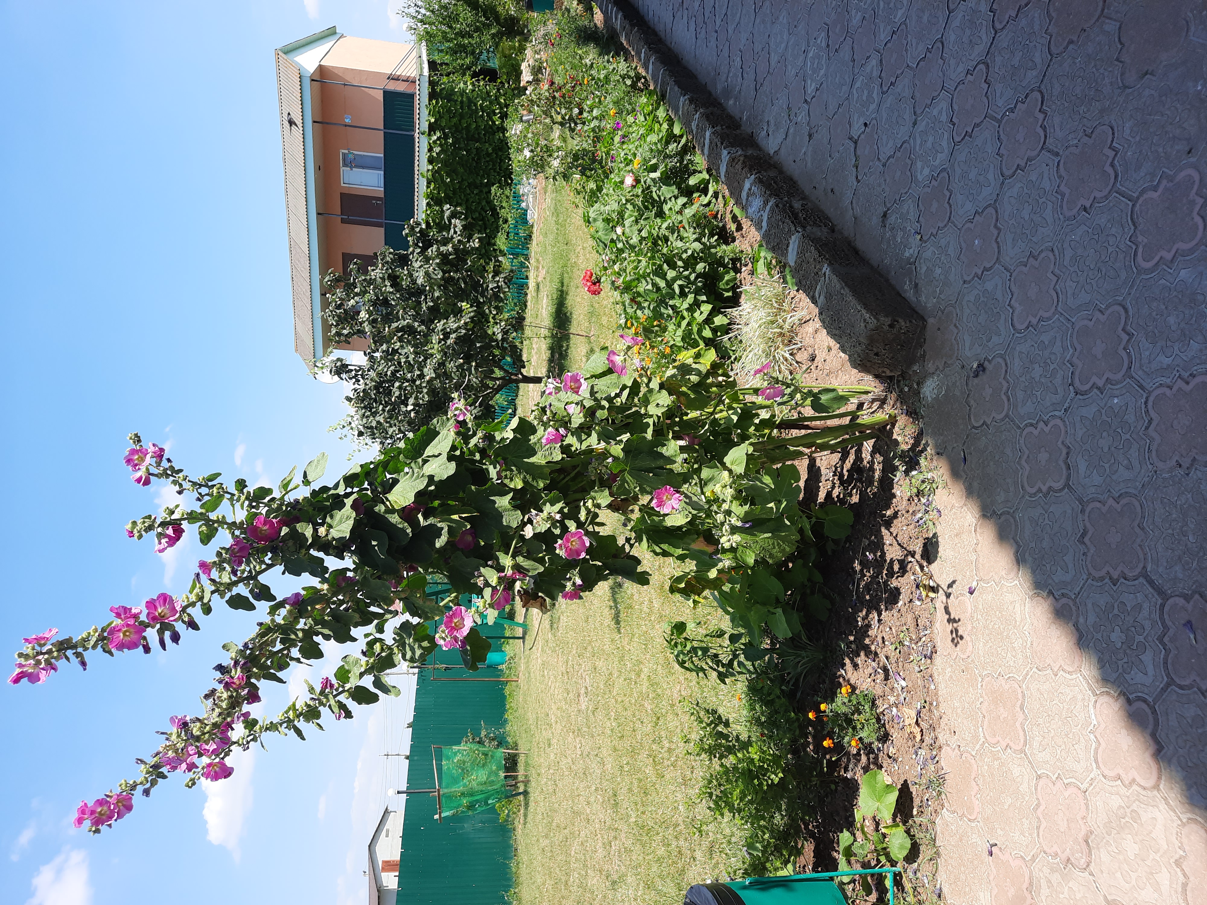 Фото Фанни Вероника