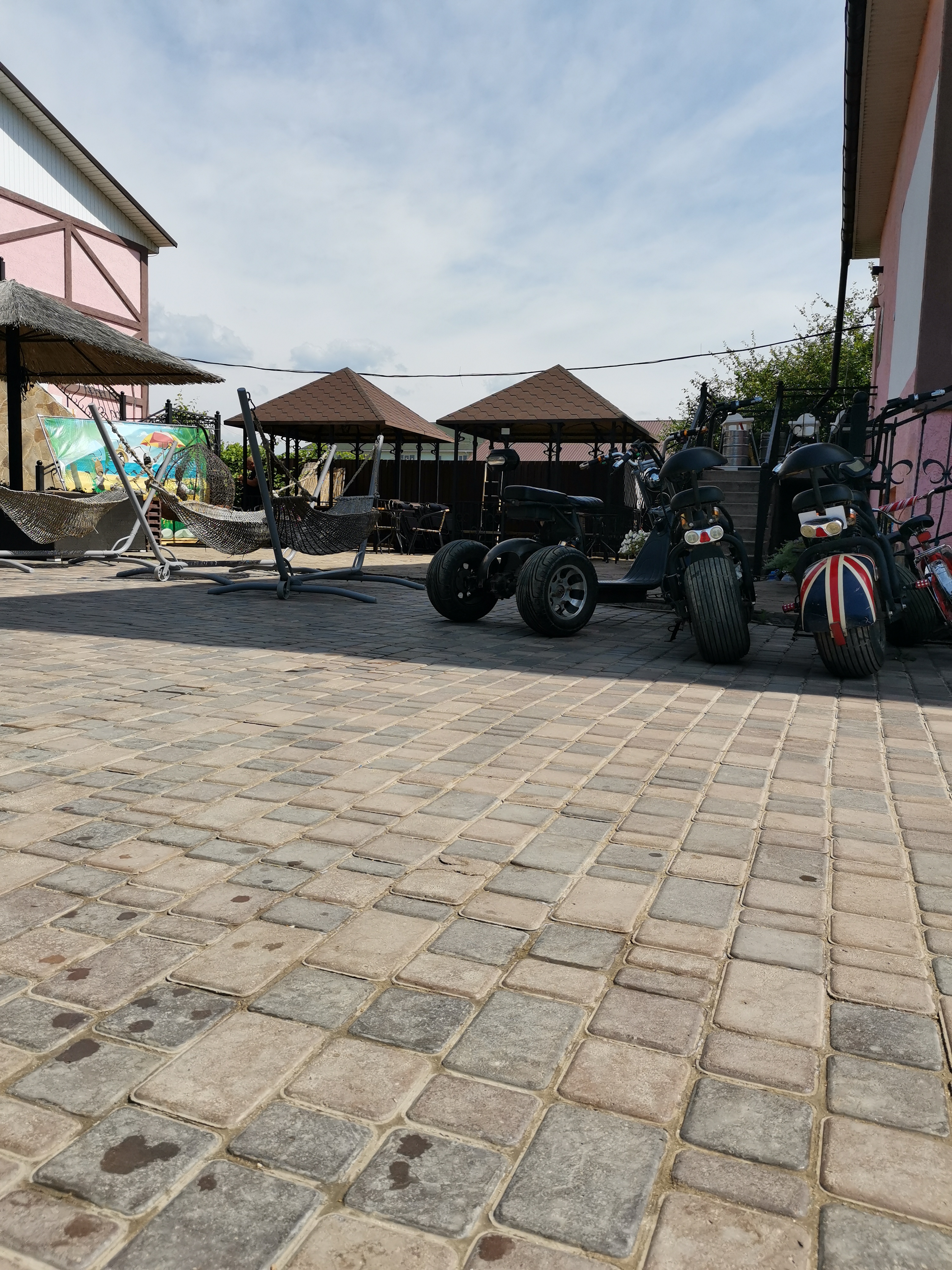 Фото Муравейник