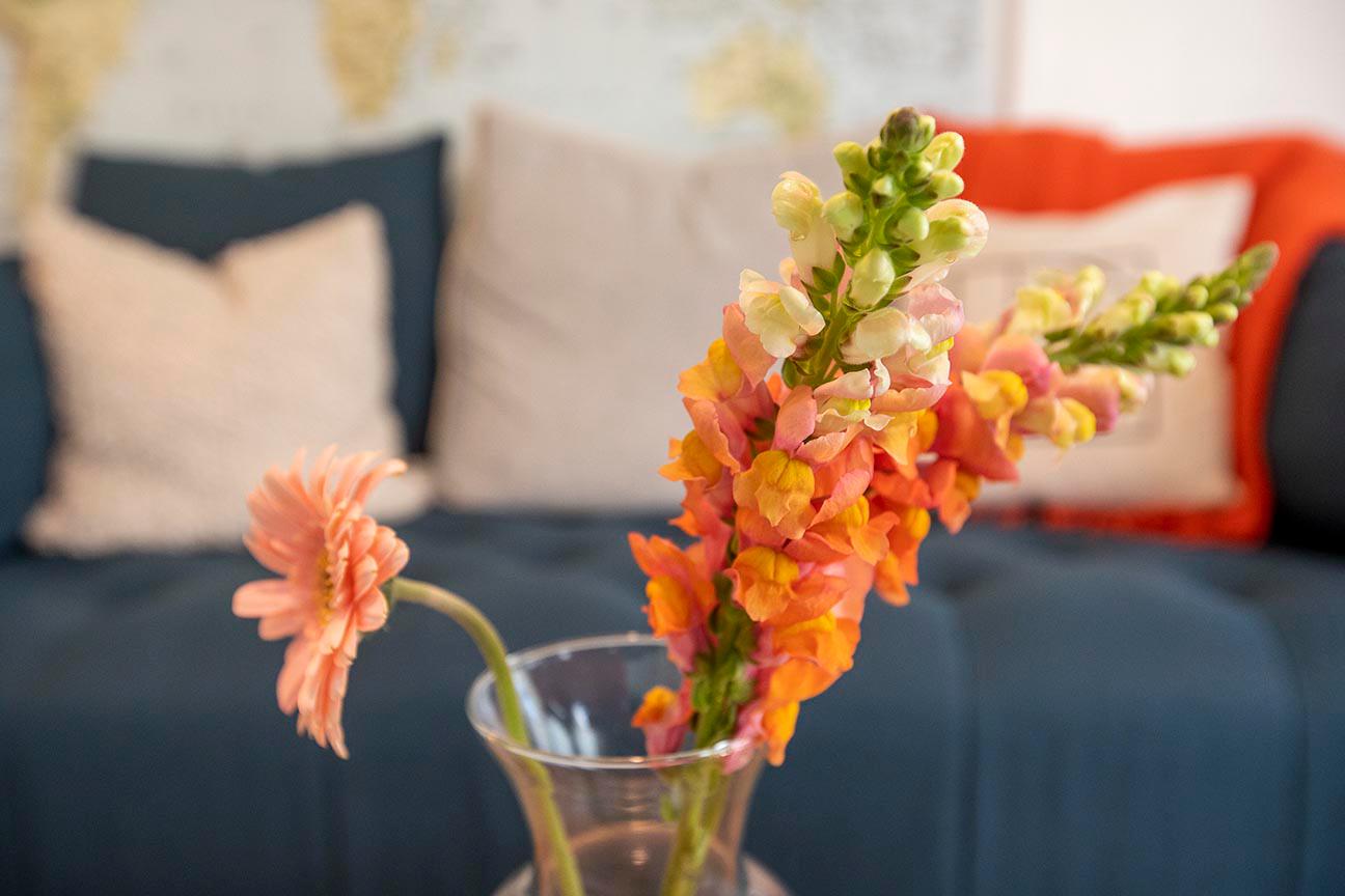 Фото Hayes Valley Inn