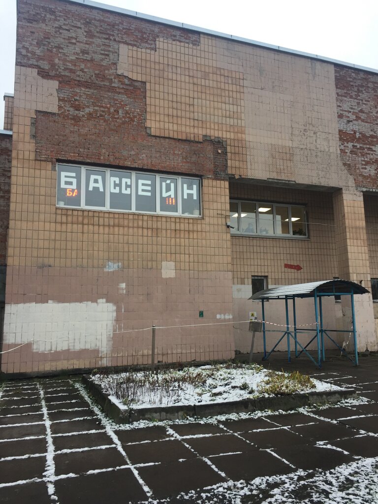 Ижорский колледж бул трудящихся 29 фото Бассейн Ижорского колледжа, бассейн, бул. Трудящихся, 29/52, Колпино - Яндекс Ка