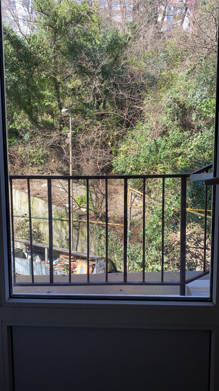 Фото Заречный