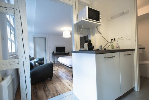 Апартаменты 24b Appartements des Orfèvres в Страсбурге