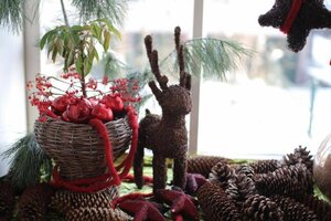 Гостиница Hotel Rosenvilla